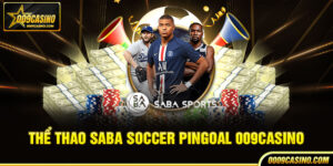 Thể thao Saba Soccer Pingoal